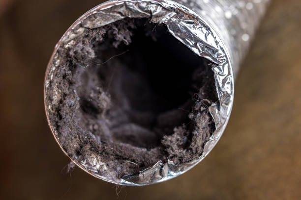 Best HVAC Air Duct Cleaning  in Woodcreek, TX